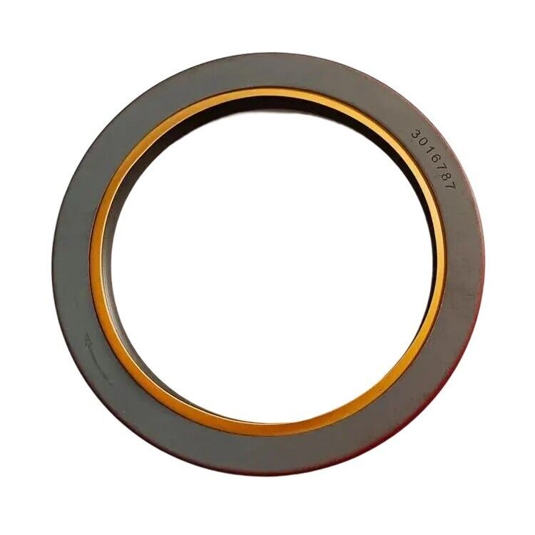 Oil Seal